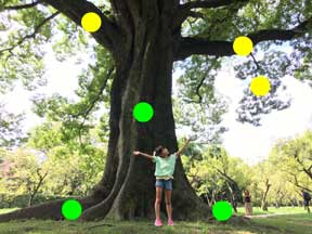 当店のサイトを幹で説明しました。